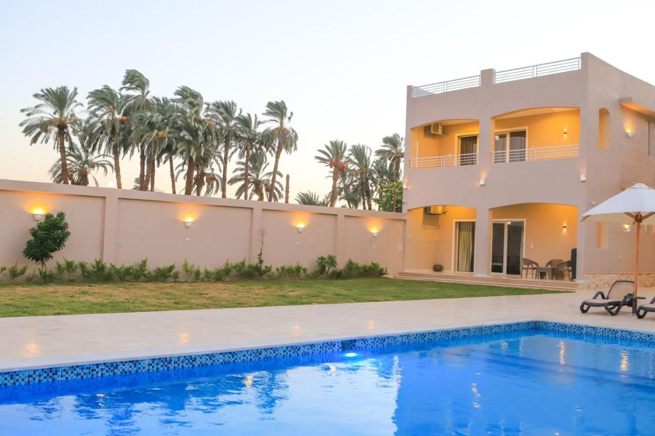 לוקסור Royal Nile Villas - Pool View Apartment 2 מראה חיצוני תמונה